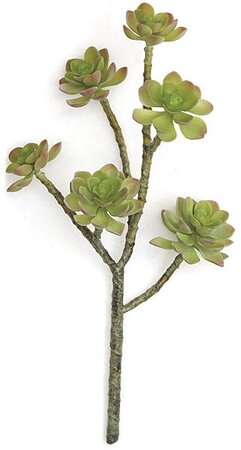 17" Plastic Succulent Stem 6 Flowers Green/Red