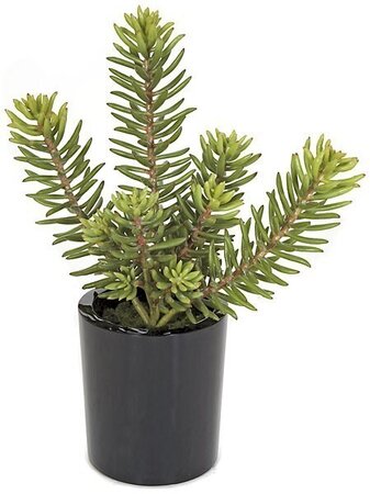 17 inches Potted Plastic Succulent - 9 Green/Red Tips - Black Ceramic Pot