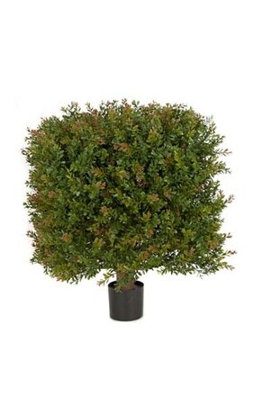 18 inches x 24 inches Plastic Outdoor Wintergreen Boxwood Square Topiary - Green/Red