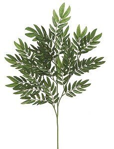 Earthflora's 26 Inch Locust Branch (Sold Per Piece) Regular Or Ifr