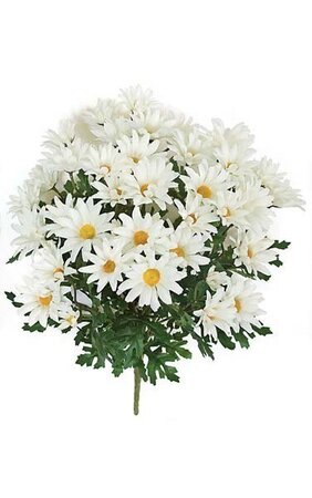 20 inches Daisy Bush - Cream Flowers - Bare Stem - FIRE RETARDANT