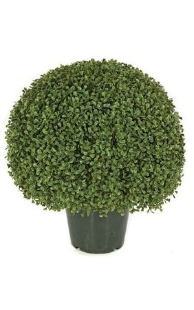 20 inches Plastic Outdoor Boxwood - Wire Frame with Steel Pipe