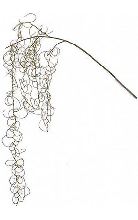 32 inches Plastic Hanging Curly Salix - 17.5 inches Stem - FIRE RETARDANT