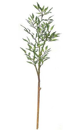33 inches Smilax Spray - Green/Brown/Yellow