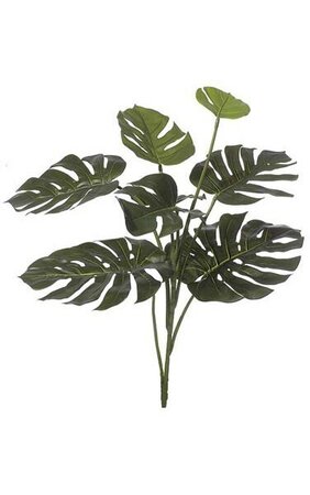 34 inches Split Leaf Philodendron - 8 Leaves - 26 inches Width - Green
