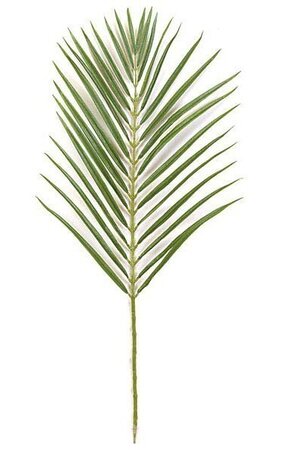35 inches Areca Palm Branch - 32 Leaves - Tutone Green Sold By The Dozen