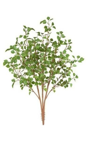 38 inches Birch Bush - 3 Stems - Light Green - 24 inches Foliage Height - 20 inches Width
