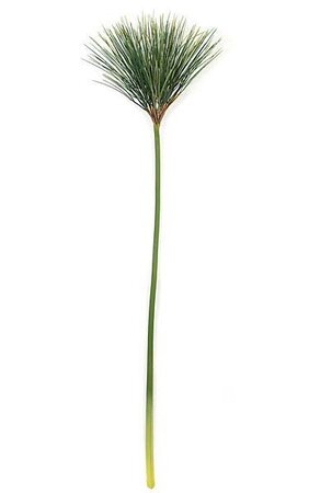 38 inches Faux Papyrus Stem - Green
