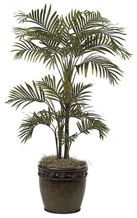 P-50900  4 feet Areca Palm - 22 Fronds - Green