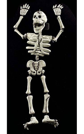 41 inches Human Skeleton - Paper Mach