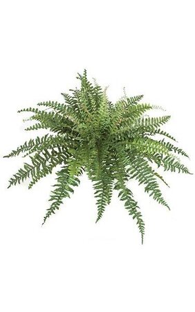 42 inches Artificial Boston Fern - 24 inches Height - Green Fronds - Bare Stem