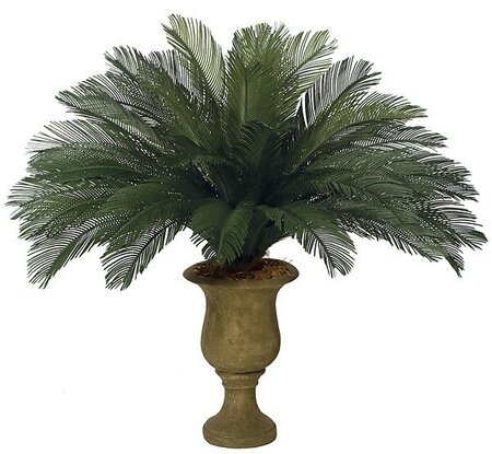 44 inches Outdoor Cycas Palm Cluster - 36 Large Fronds - 68 inches Width - Tutone Green