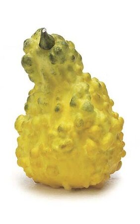5 inches Foam Gourd - Weighted - Yellow/Green