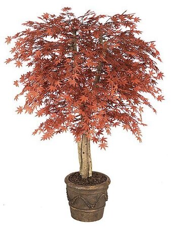 5 feet Outdoor Japanese Maple Tree - Natural Trunks - 1,512 Leaves