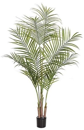 5.5 feet Plastic Areca Palm Tree - 10 Fronds- Assembly Required