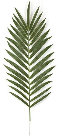 56 inches Kentia Palm Branch - 28 Green Leaves - 6 1/4 inches Metal Stem