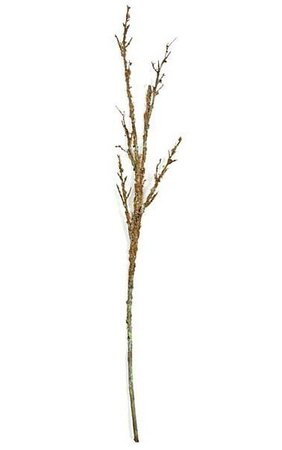 56 inches Plastic Twig Branch with Moss - Olive