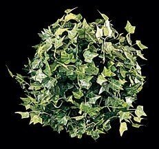 Earthflora's 10 Inch Small Ivy Ball