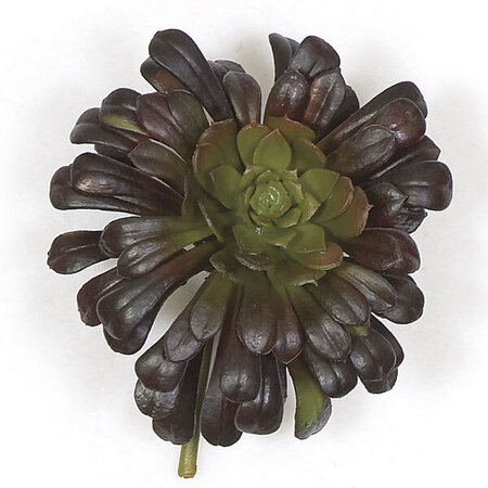 6 inches x 5 inches Plastic Succulent - Burgundy/Green