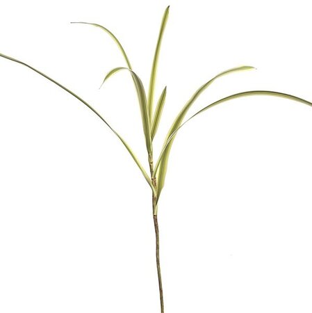 60 inches Plastic Flat Grass Plant - Green/Cream