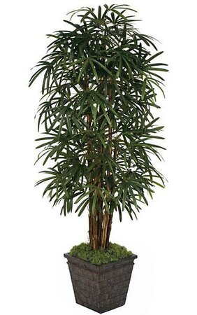 Lady Palm -  Natural Trunks - Green- FIRE RETARDANT *Available in 7' and 9' Sizes