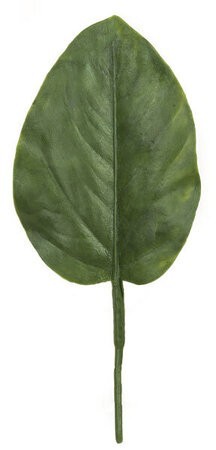 7 feet Medium Banyan Leaf - 4.25 feet Leaf - 3 feet Width - Green - Special Order