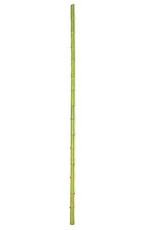 72 inches Plastic Bamboo Pole - Light Green