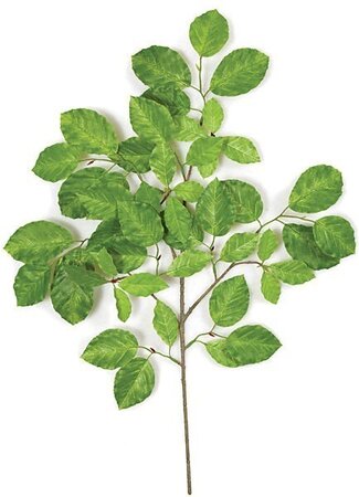 Earthflora's 24 inches Common Beech Branch - 50 Leaves - Green - FIRE RETARDANT