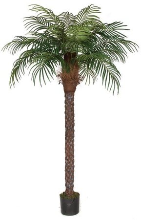 8 feet Date Palm Tree - Synthetic Trunk - 834 Leaves