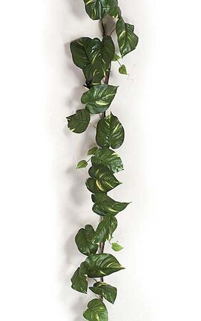 8 feet Pothos Garland - 39 Leaves - Green/Yellow