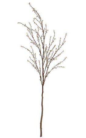 9 feet Plum Tree - 40 inches Stem - 35 inches Width