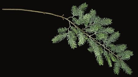 42 Inch Hemlock Lightly Frosted/Glittered Fir Spray (Sold Per Piece)