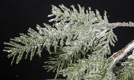 40 Inch Snowy Glittered Pine Spray