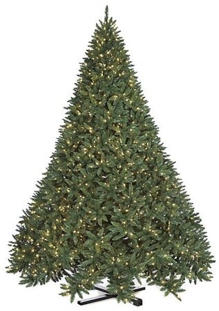 12 Foot Tall  Maritime Pine Christmas Tree - Full Size - 2,000 Warm White 5mm LED Lights