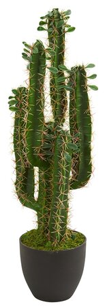 Cactus Artificial Plant 