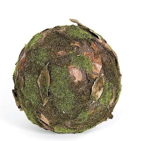 Earthflora's 6 Inch Moss Leaf Ball