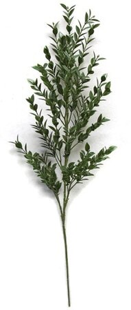 30 inches Polyblend Plastic Ruscus Branch - 460 Leaves - 10 inches Stem - Green