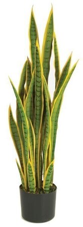 A-15202  39 inches Plastic Sanseveria Plant - Green/Yellow