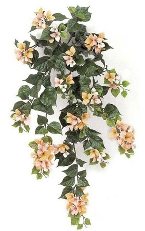 36 inches Outdoor Polyblend Bougainvillea Bush- 18 Flower Clusters - Peach/Pink/Cream