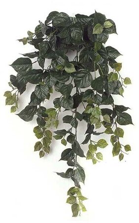 36 inches Hanging outdoor Bougainvillea Bush - 174 Leaves -19 inches Width - Green