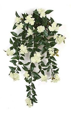 30 inches Outdoor Impatiens Bush - 16 Cream/White Flowers Clusters - 4 inches Stem