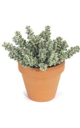 7 inches Plastic Fat Sedum Artificial Bush - 31 Stems - Frosted Green