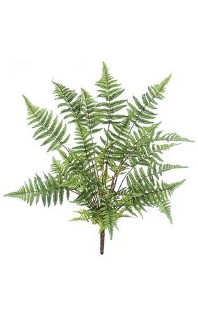 32 inches Tree Fern - 37 Fronds - 33 inches Width - Green - Bare Stem
