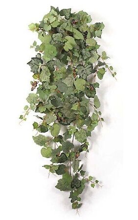 52 inches Frosted Grape Bush - 322 Mixed Green Leaves - 81 Mauve/Yellow Berries - 20 inches Width