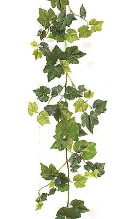 6 feet Grape Ivy Garland - 124 Leaves - Natural Stem - Tutone Green