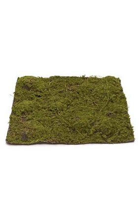 13.5 inches Plastic Moss Mat - 13.5 inches Square - Green/Brown