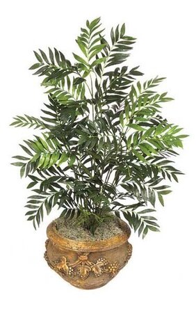 5 feet Parlour Palm Bush - 663 Leaves - Green - Bare Trunk