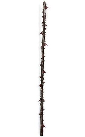 40 inches Plastic Rose Thorn - Dark Red/Green