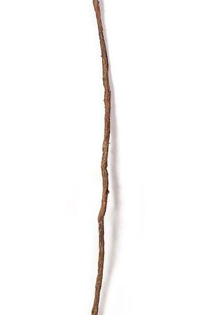 9 feet Plastic Stick Vine 1" Thick - Brown