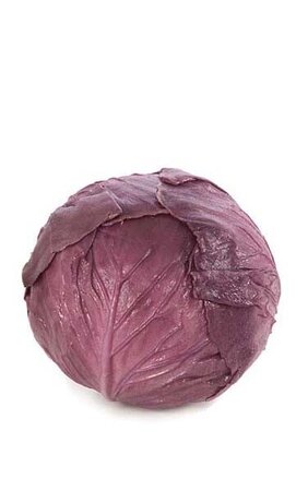 5 inches x 4 inches Foam Round Cabbage - Purple